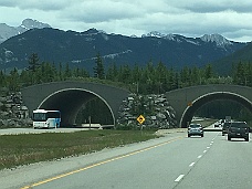 IMG_1224 British Columbia Border Area